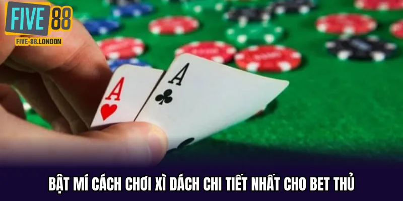 Bật mí cách chơi xì dách chi tiết nhất cho bet thủ