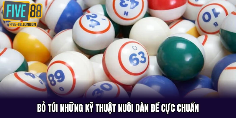 Bỏ túi những kỹ thuật nuôi dàn đề cực chuẩn